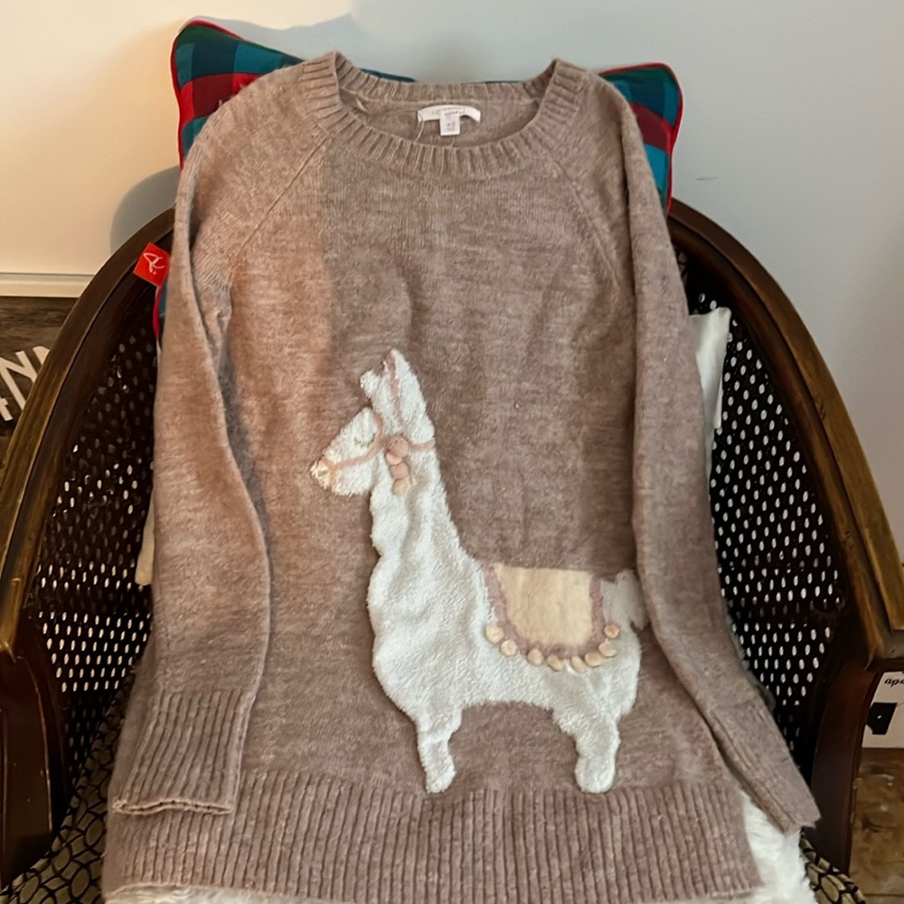 Lauren Conrad women knit tunic sweater